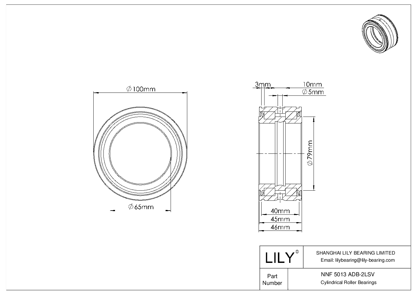 NNF 5013 ADB-2LSV Double Row Full Complement Cylindrical Roller Bearings cad drawing