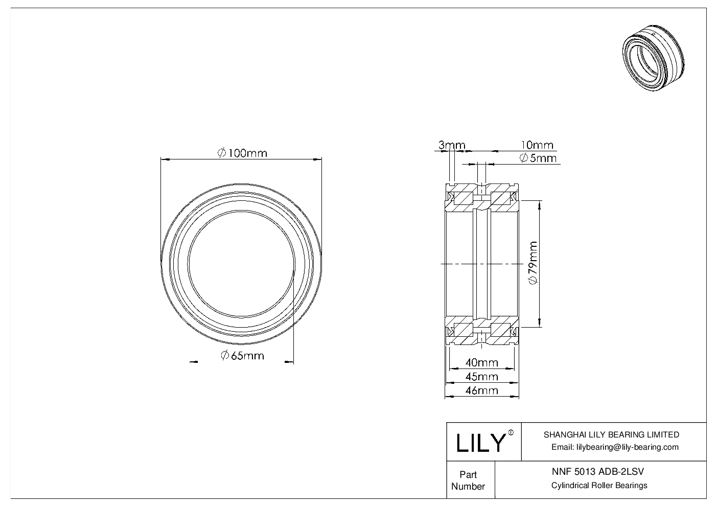 NNF 5013 ADB-2LSV 双列满装圆柱滚子轴承 cad drawing