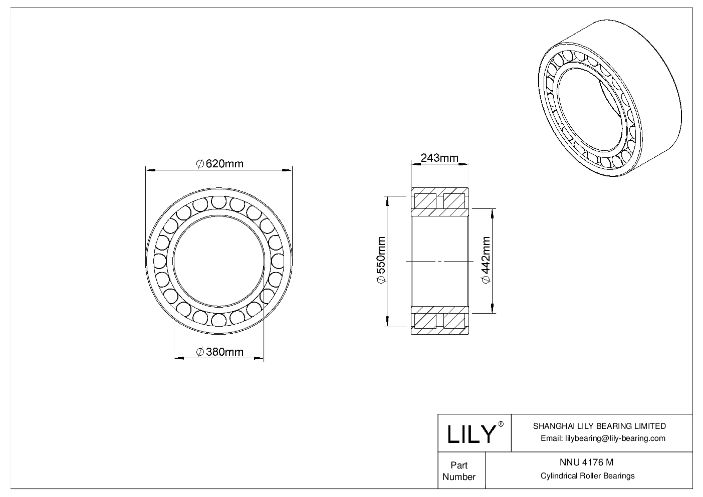 NNU 4176 M Double Row Cylindrical Roller Bearings cad drawing